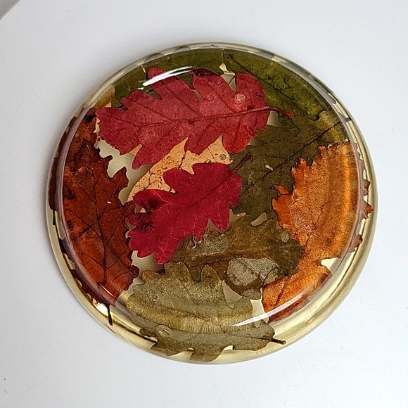 Lucite Fall Leaves Coasters - Picture 5 of 9